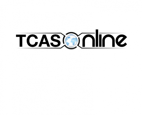 Kernel capital portfolio companies – TCAS Online logo