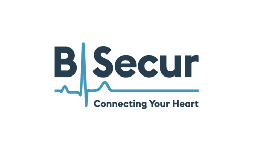 Kernel Capital portfolio companies – BSecur logo